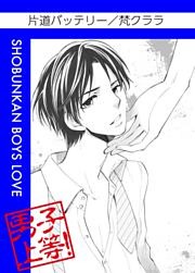 片道バッテリー