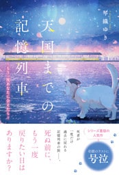 天国までの記憶列車～もう一度あなたに会えたら～