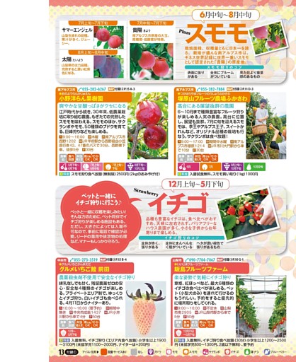 スモモ／イチゴ