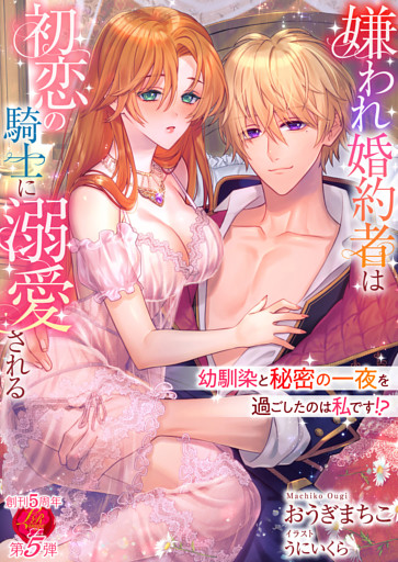 嫌われ婚約者は初恋の騎士に溺愛される　～幼馴染と秘密の一夜を過ごしたのは私です！？～