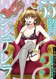 55階のシンデレラ 本物のセレブは私よ（３）