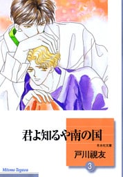 君よ知るや南の国 3巻