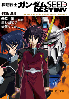 機動戦士ガンダムＳＥＥＤ　ＤＥＳＴＩＮＹ