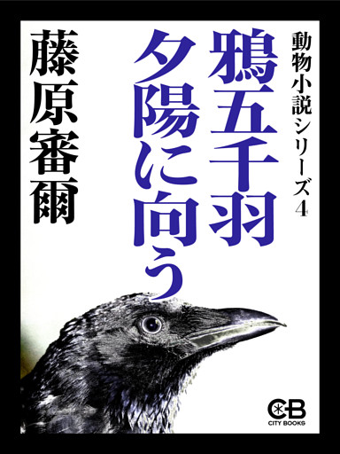 鴉五千羽夕陽に向う