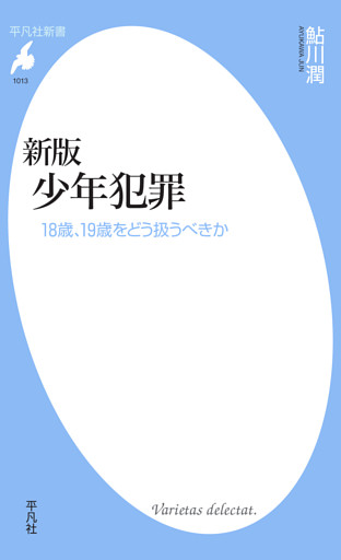 新版 少年犯罪