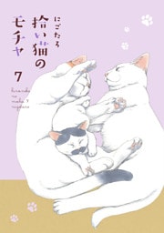 拾い猫のモチャ7