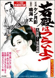 若殿はつらいよ！大波瀾！　東海道編