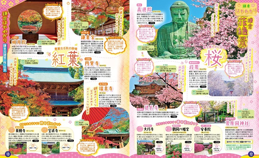 鎌倉はやわかり／鎌倉花絶景／桜・紅葉