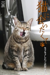 猫に会いたくて モフモフしたご近所さん