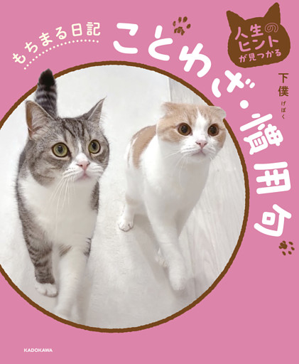 人生のヒントが見つかる　もちまる日記ことわざ・慣用句