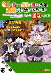 竜王に拾われて魔法を極めた少年、追放を言い渡した家族の前でうっかり無双してしまう～兄上たちが僕の仲間を攻撃するなら、徹底的にやり返します～（コミック） 分冊版 13