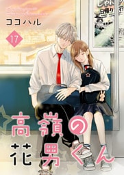 高嶺の花男くん【合冊版】 17