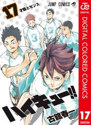 ハイキュー！！ カラー版 17