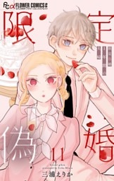 限定偽婚　～１年間の夫婦～【合本版】（１１）