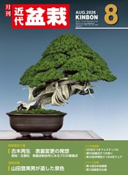 近代盆栽2026年8月号