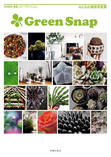 ＧｒｅｅｎＳｎａｐ