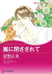 嵐に閉ざされて【分冊】 8巻