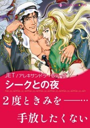 シークとの夜【あとがき付き】〈砂漠の王子たち〉