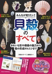 みんなが知りたい！ 貝殻のすべて きれいな形や模様の魅力から殻の形成のヒミツまで
