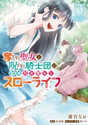 奪われ聖女と呪われ騎士団の聖域引き篭もりスローライフ　3