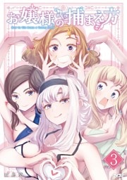 お嬢様の捕まえ方（３）