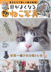 増補版 見るだけで楽しく視力回復!目がよくなるかわいいねこ写真 表紙