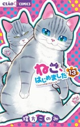 ねこ、はじめました（１３）