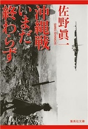 沖縄戦いまだ終わらず