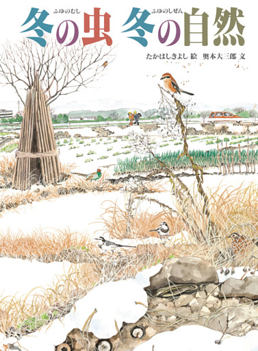 冬の虫 冬の自然