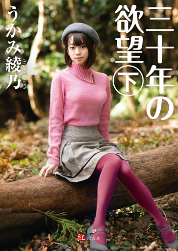 三十年の欲望 下巻