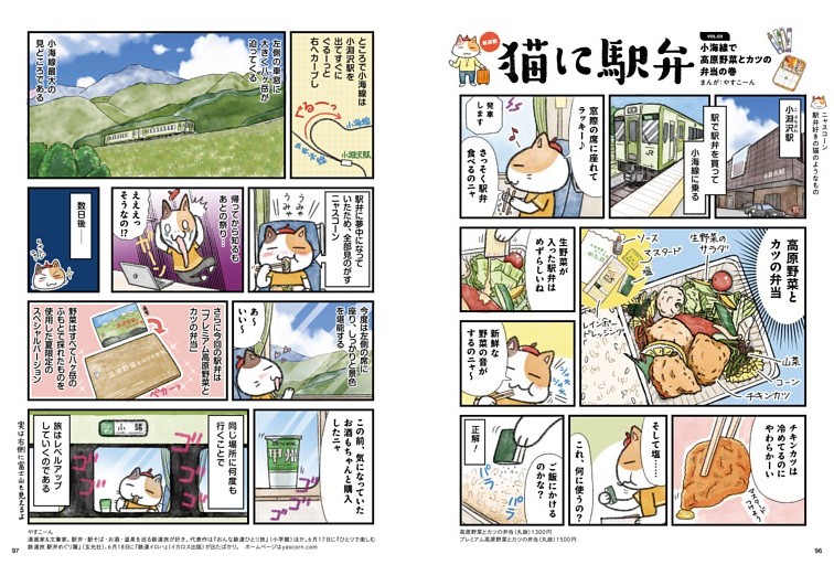 猫に駅弁　やすこーん 高原野菜とカツの弁当　●山梨