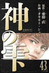 神の雫　愛蔵版　43