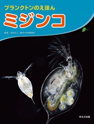 大きな写真で見てみよう！　プランクトンのえほん　ミジンコ