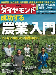 週刊ダイヤモンド 09年8月1日号