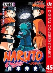 NARUTO―ナルト― カラー版 45