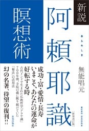 新説 阿頼耶識瞑想術［新装改訂版］
