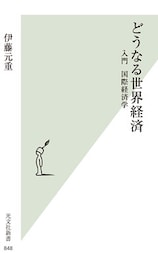 どうなる世界経済～入門　国際経済学～