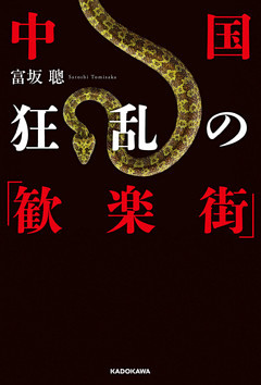 中国　狂乱の「歓楽街」