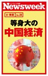 等身大の中国経済（ニューズウィーク日本版e-新書No.28）