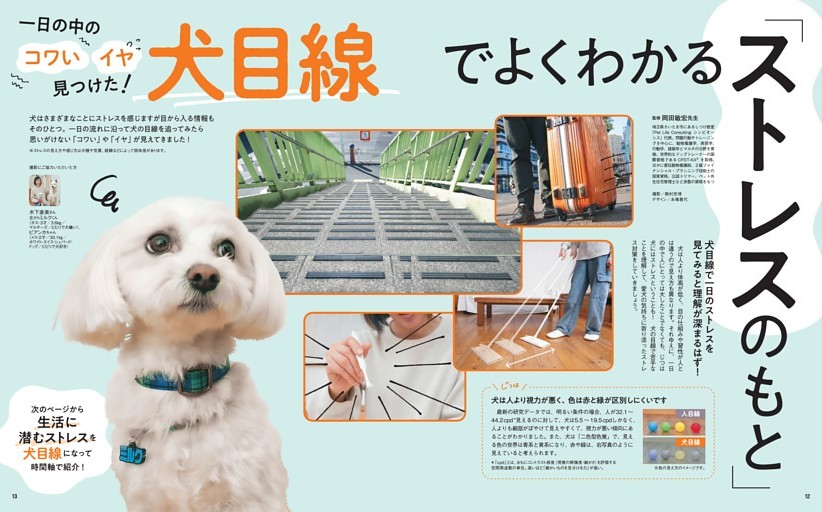 一日の中のコワい・イヤ 見つけた！　犬目線でよくわかる「ストレスのもと」