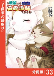 我輩は猫魔導師である～キジトラ・ルークの快適チート猫生活～【分冊版】（ポルカコミックス）３３