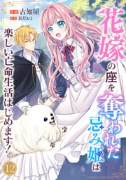 花嫁の座を奪われた忌み姫は楽しい亡命生活はじめます！１２