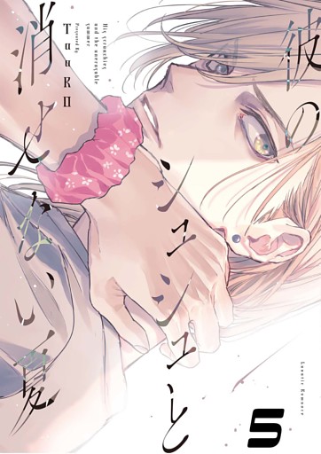 【単話版】彼のシュシュと消せない夏 5