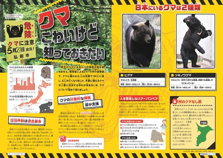 クマ こわいけど知っておきたい