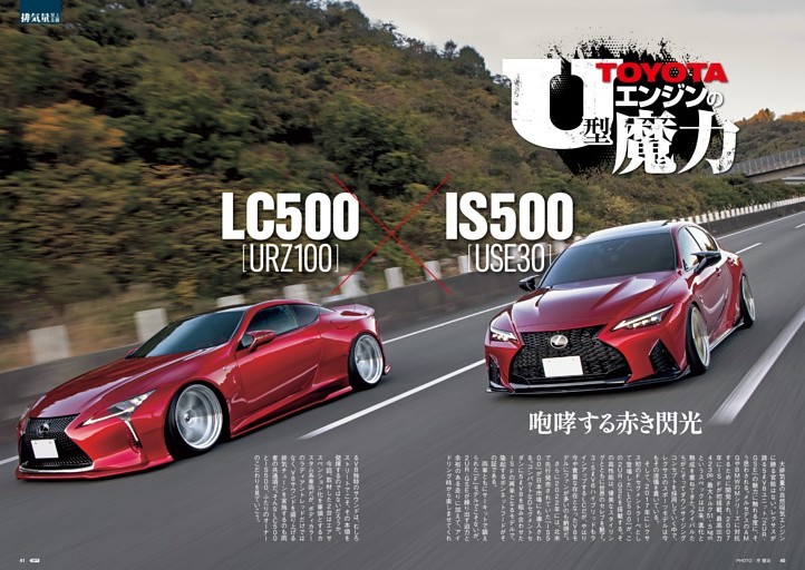 レクサス様専用 お腹いっぱい様専用（レクサス様専用 （レクサス
