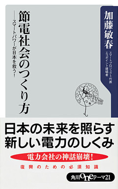 節電社会のつくり方　スマートパワーが日本を救う！