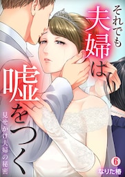それでも夫婦は嘘をつく～見せかけ夫婦の秘密～(6)