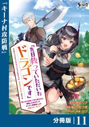 先日救っていただいたドラゴンです【分冊版】（ノヴァコミックス）１１