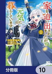 家を追い出されましたが、元気に暮らしています　～チートな魔法と前世知識で快適便利なセカンドライフ！～【分冊版】　10