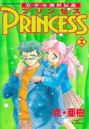 美少女創世伝説 PRINCESS 2